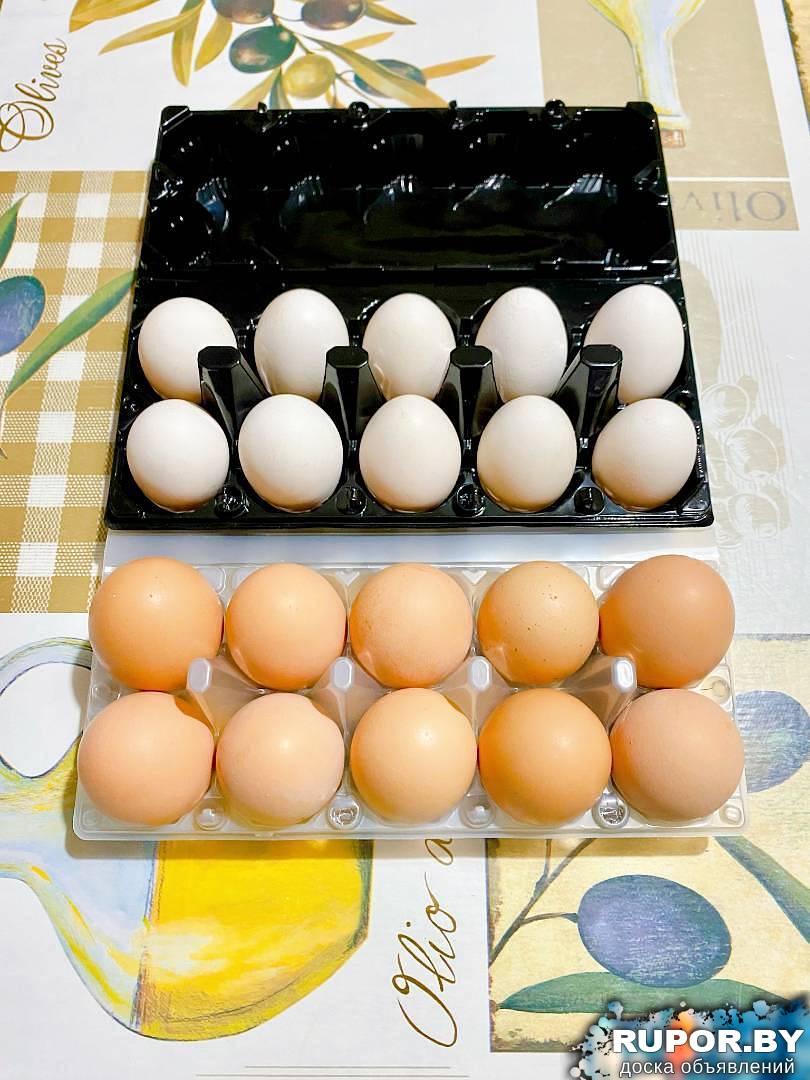 Яйца домашние - 0